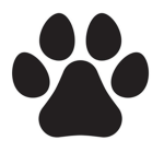 Furry fandom…