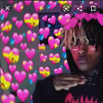 ########### members only vol #