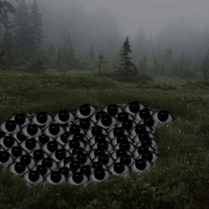 eye lake Roblox decal
