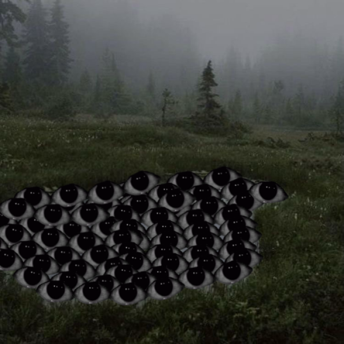 eye lake Roblox decal