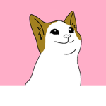 THE POP CATS