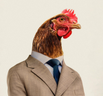 Zortos Chicken Farm