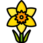 Daffodil Estate Family