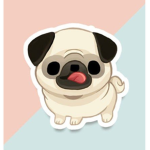 Pug Twins group