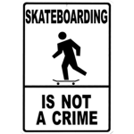 SkaterZ on the Ramp