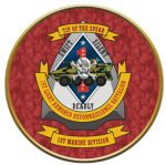 WOTW 1ST MARINE TANK DIVISON