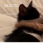 sewerdoll