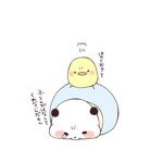pandas will rule