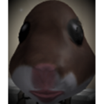 Hamtor/Hamster Gang