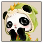 The Panda Squad360