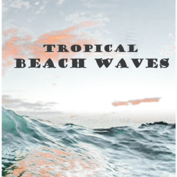 • Tropical Beach Waves •