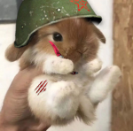 BUNNY :3