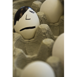 eggsonapane