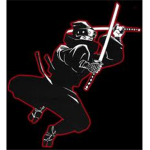The Dark Ninjas of the Night