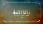 Beagle Buddies :)