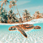 -ᴘʀᴇᴘᴘʏ ᴡᴀʀᴅʀᴏʙᴇ-