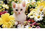 #FLOWER SQUADZ