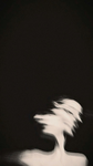 notsprex