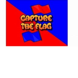 Capture The Flag |New Update