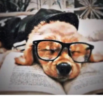 ~The doggies~