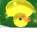 SUPREME DUCKS
