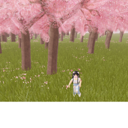 Beautiful walk through Cherry Blossoms 🌸