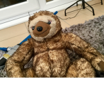 SLOTHS FOREVER BOISSS