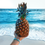 Da tropical Pineapples~