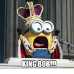 OFFICIAL KING BOB FAN CLUB