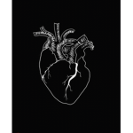 - Lae’s Clothes -