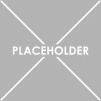 Cabin in the Pine Woods