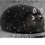 Mr. Seal Club