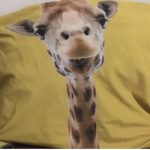 Giraffe pillow gang
