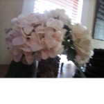 The rose...