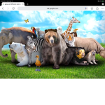 Legends of Animals!