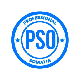 Professional Somalia Stadium