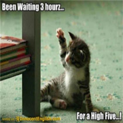 funny-kitten-high-five Roblox decal