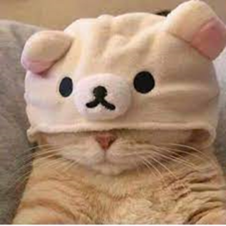 cute cat game