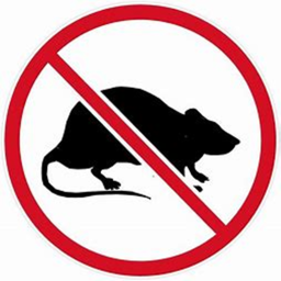 NO RATS