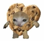 AAAAAAAAAAAAAAAAAAAAAAAA_AAAAAAAAAAA