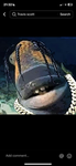 Fortnite fish army unite