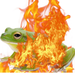 Magic Frog Kingdom