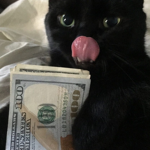 Plt$
