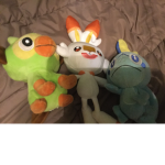 Pokémon sword and shield Group
