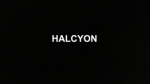 Hal.Cy.On