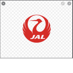 Japan Airlines J A L