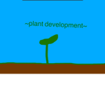 ~Plant Development~