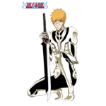 Ichigo Kurosaki fan club