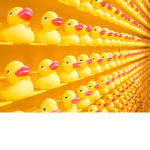 Duck - a - land - ia