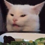 rip_saladcat